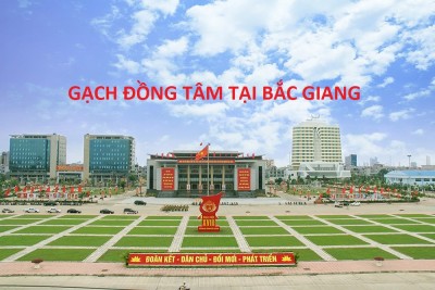 Địa chỉ mua gạch Đồng Tâm mẫu mã đẹp, độc đáo ở Bắc Giang