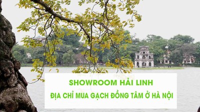 Địa chỉ mua gạch Đồng Tâm chất lượng vượt trội nhất ở Hà Nội