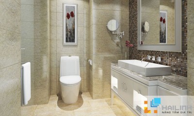 Tổng hợp mẫu gạch ốp lát nhà vệ sinh đẹp của Đồng Tâm