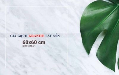 Giá gạch granite lát nền 60x60