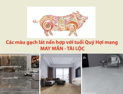 Gợi ý 6 màu gạch lát nền hợp với tuổi Quý Hợi, chuẩn phong thủy