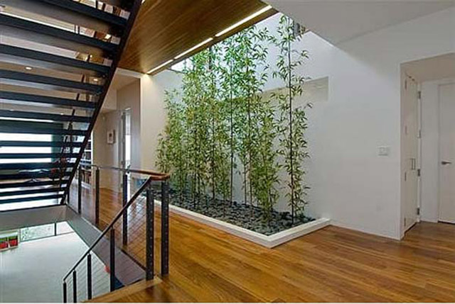 Phòng khách 20m2 nhà ống nên kết hợp với tiểu cảnh hoặc cây xanh