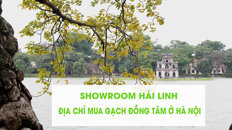Địa chỉ mua gạch Đồng Tâm ở Hà Nội