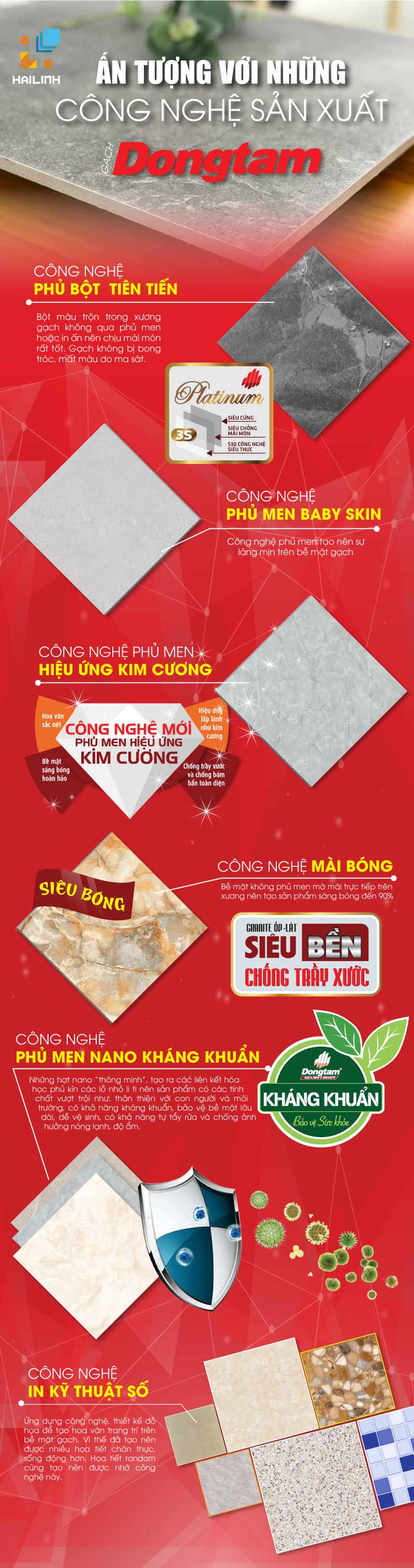 infographic dong tam