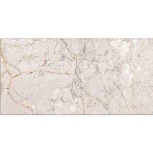 Gạch Đồng Tâm 1020ROCK009