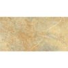 Gạch đồng tâm 1530STONE012