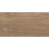 Gạch đồng tâm 1560WOOD009