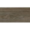 Gạch đồng tâm 1560WOOD011