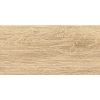 Gạch đồng tâm 2080WOOD007
