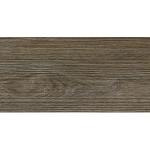 Gạch đồng tâm 2080WOOD011