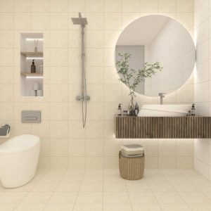 Gạch Đồng Tâm 2525BAOTHACH001