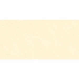 Gạch Đồng Tâm 3060GECKO007