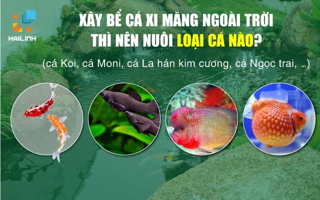 4 koi cach xay be ca xi mang ngoai troi