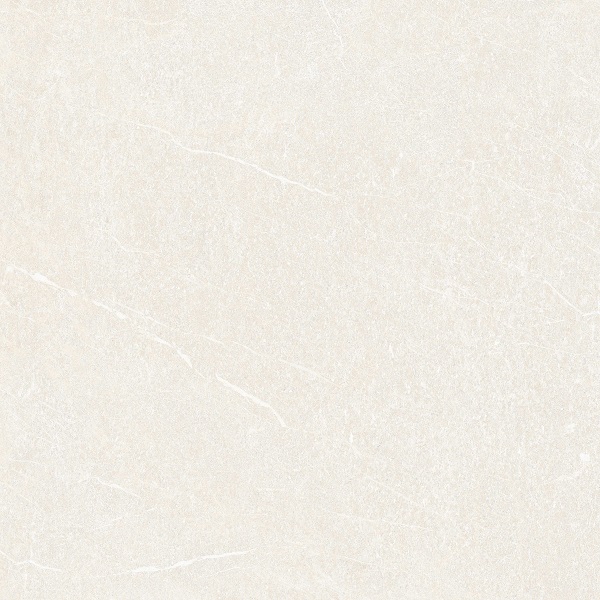 Gạch Đồng Tâm 4040GECKO002