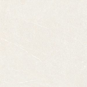 Gạch đồng tâm 4040GECKO002