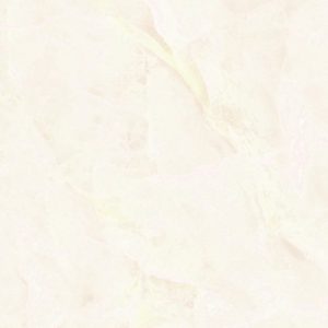Gạch Đồng Tâm 484