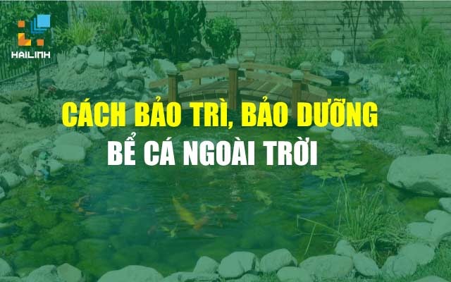 5 bt cach xay be ca xi mang ngoai troi