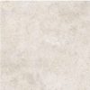 Gạch Đồng Tâm 6060TAMDAO005