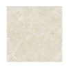 Gạch Đồng Tâm 6060TRUONGSON005-FP