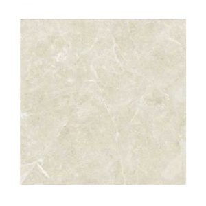Gạch Đồng Tâm 6060TRUONGSON005-FP