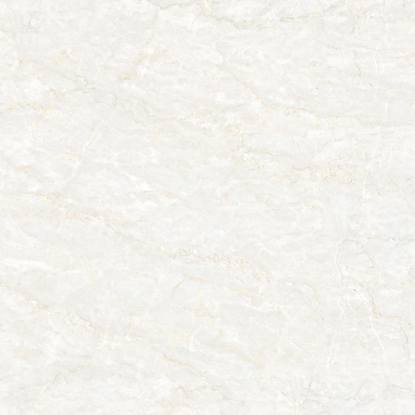 8080FANSIPAN 002-FP-H+