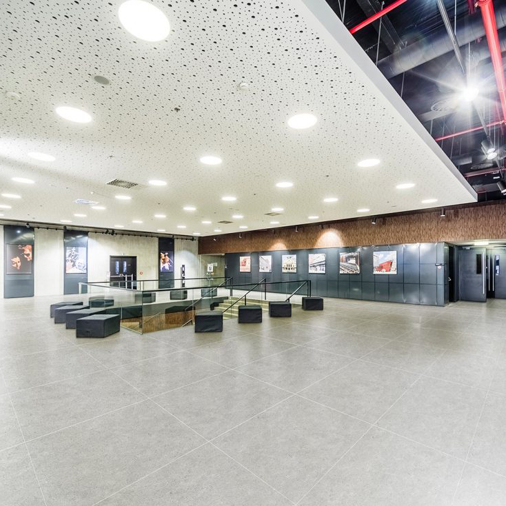 gạch Đồng Tâm 8080NAPOLEON012-H+