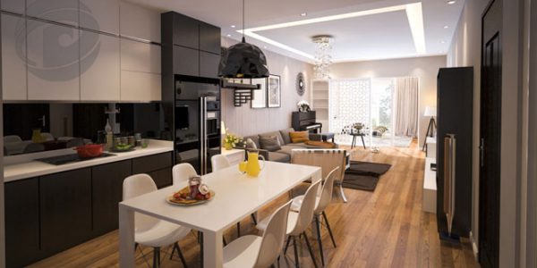 9 mau phong khach lien bep 20m2 hi