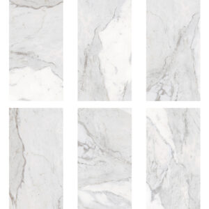 Face gach Dong Tam 4080REGAL016-H+