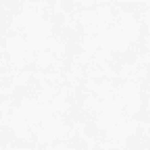 Gach Dong Tam 100VICTORIA005