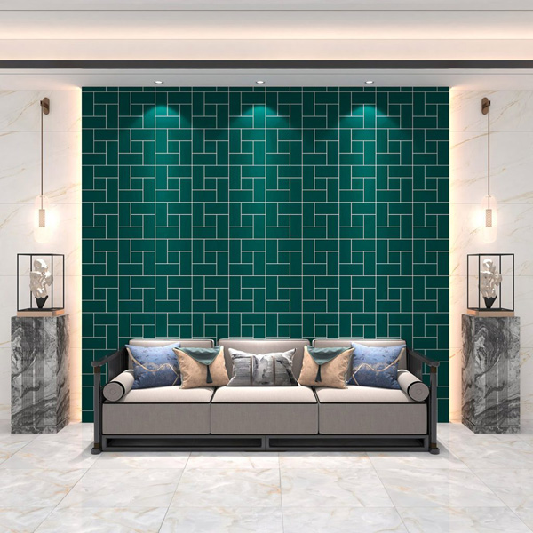 Gach Dong Tam 1020COLOUR019 phong mau