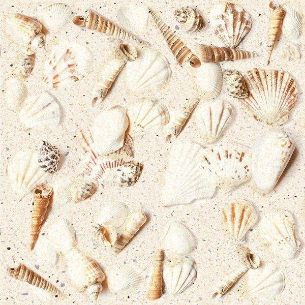 Gach Dong Tam 2020MARINA003 F2