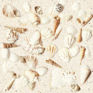 Gach Dong Tam 2020MARINA003 F3