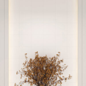 Gach Dong Tam 300 op tuong