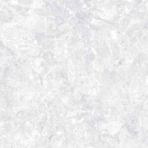 Gach Dong Tam 3030ANDES001 van da