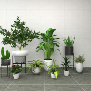 Gach Dong Tam 3060AMBER005 phong mau