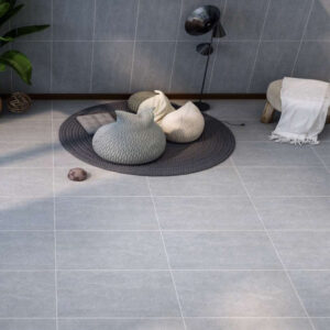 Gach Dong Tam 3060GECKO003 phong mau