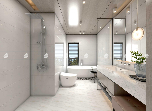 Gach Dong Tam 3060GECKO009 nha tam