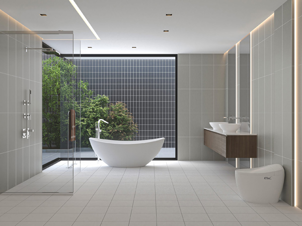 Gach Dong Tam 3060VICTORIA002 phong tam