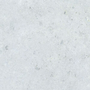 Gạch Đồng Tâm 4040GECKO005