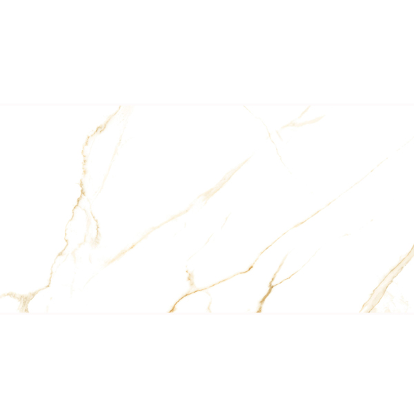 Gach Dong Tam 4080GECKO002-F1