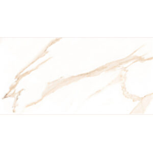 Gach Dong Tam 4080REGAL005-H+ op tuong