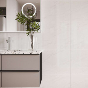 Gach Dong Tam 4080REGAL014-H phong mau