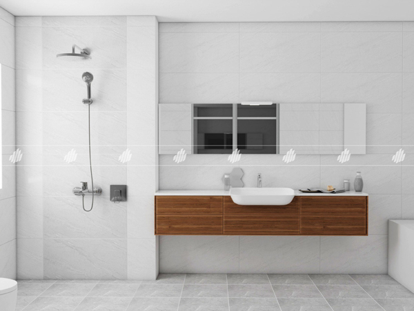 Gach Dong Tam 4080REGAL014-H phong tam