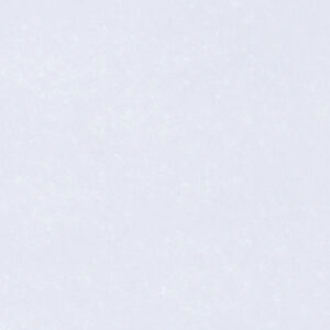 Gach Dong Tam 6060BRIGHT001-FP