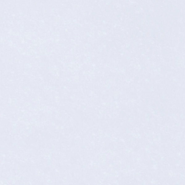 Gach Dong Tam 6060BRIGHT001-FP