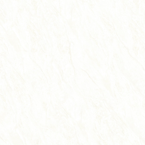 Gach Dong Tam 6060DA004-FP