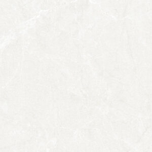 Gach Dong Tam 6060DONGVAN004-FP-H+