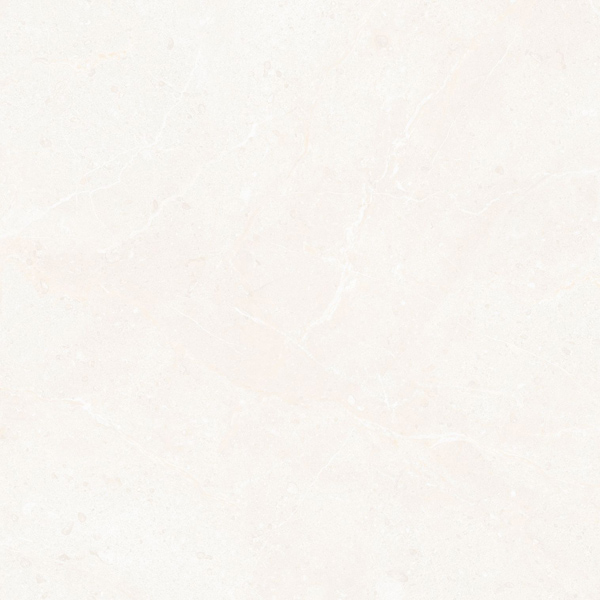 Gach Dong Tam 6060MOMENT004