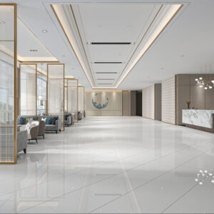 Gach Dong Tam 6060SNOW001-FP