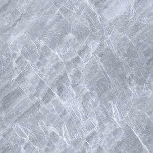 Gach Dong Tam 6060TRANGAN001-FP-2